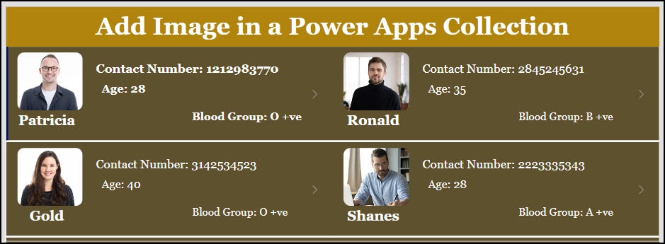 How to Add Image in a Power Apps Collection