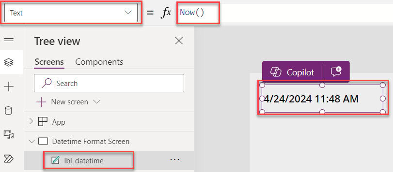 powerapps date format