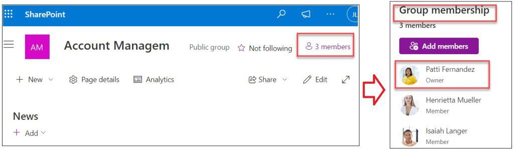 sharepoint add owner