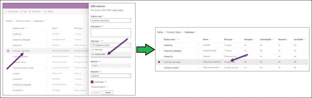 autonumber primary key dataverse