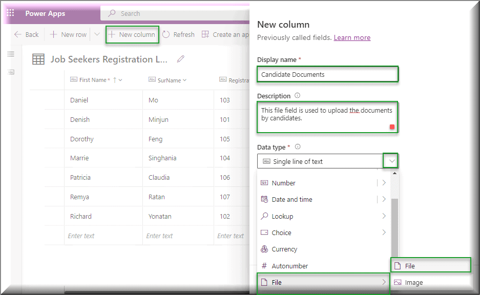 Create Dataverse File field