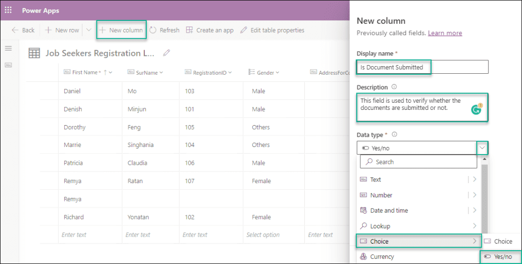 Power Apps Dataverse Yes No Field