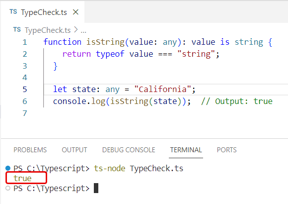 typescript type check